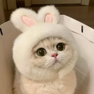 🙄