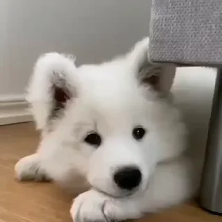 😉