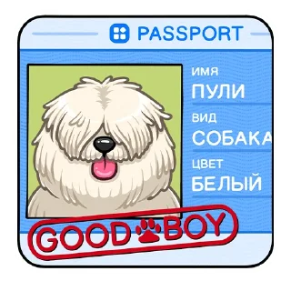 Пули :: @stickroom