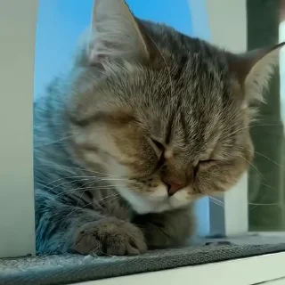 😣