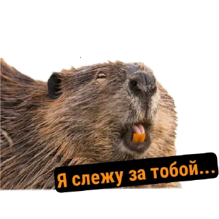 😑