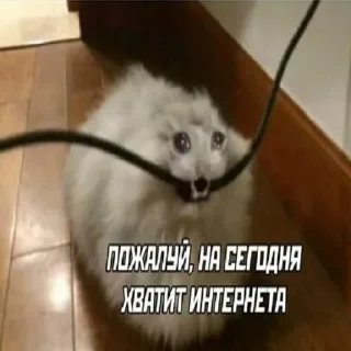 🤕