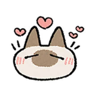 😺
