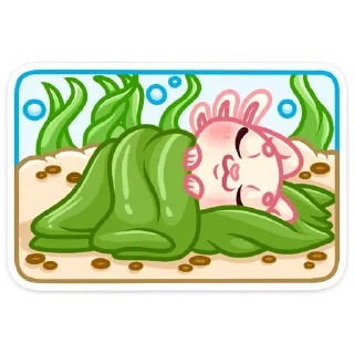 😴