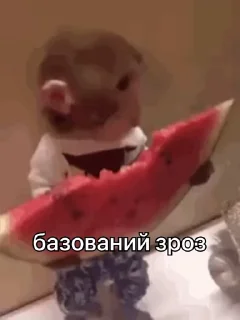 🍉