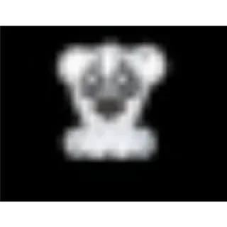 🐒