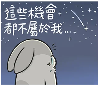 🌃