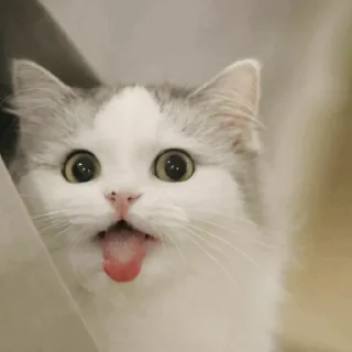 😝