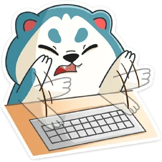 💻