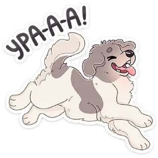 🐶