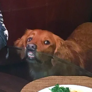 😬