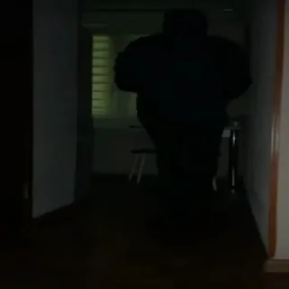 🌃