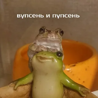 👯