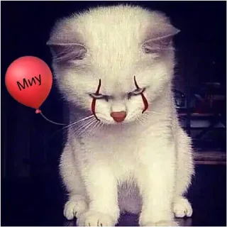 🎈