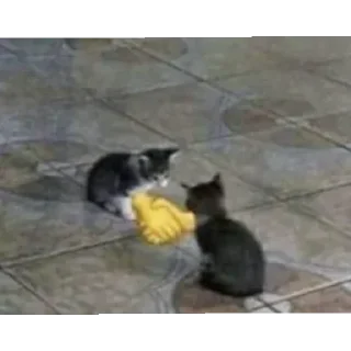 😄