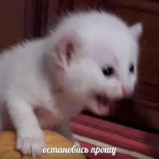 😫