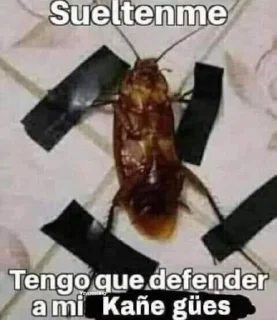 😡