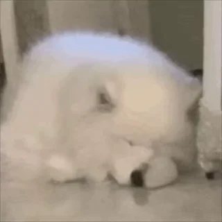 🥱