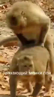 🔞