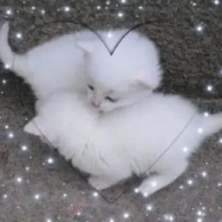 ❤️