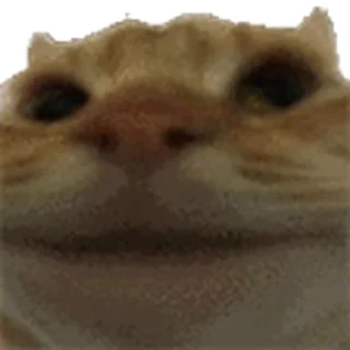 🙂