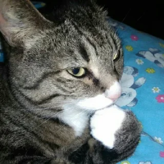 😙
