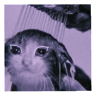 😢