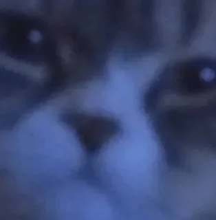 🧐