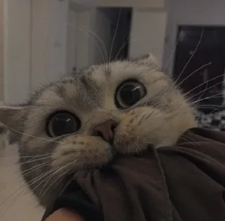 💗