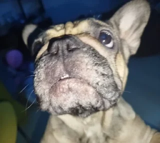 🌟