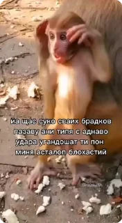 😡