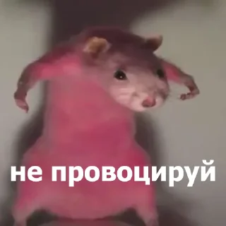 😠