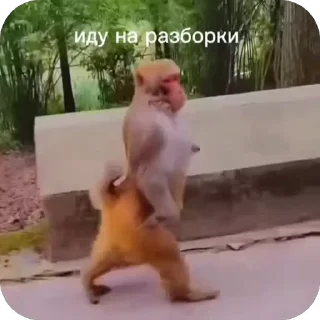 👊