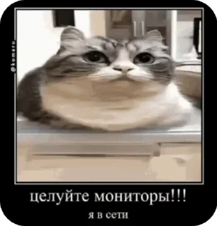 😱