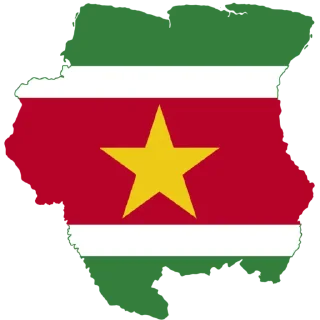 🇸🇷