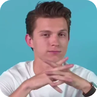 🕷️