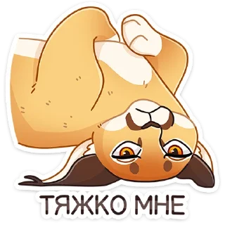😼