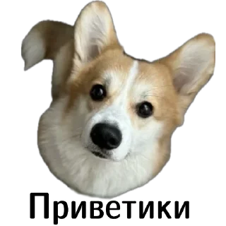 👋