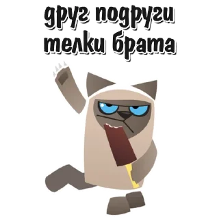 🐱