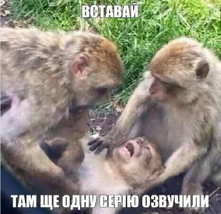 😭