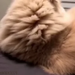 🙃