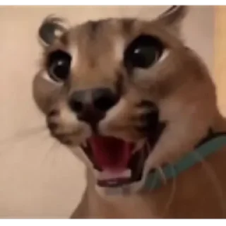 😧