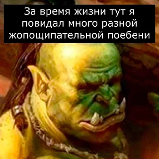 🙀