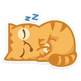 😴