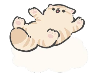 🐱