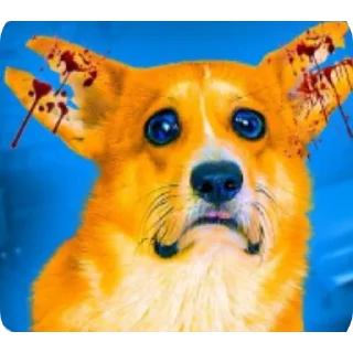 🐶