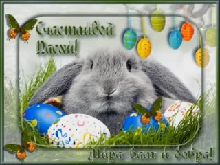 🥚