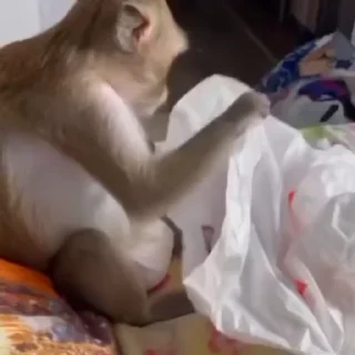 🛍