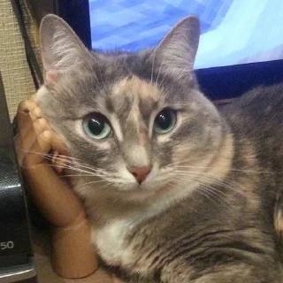 🤨