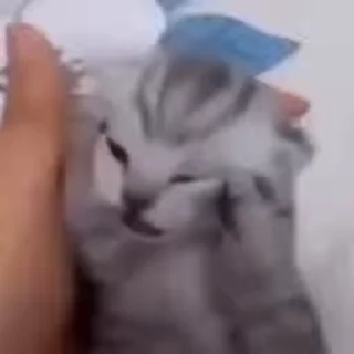 😫